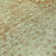 Chayil Area Rug with Non-Slip Backing