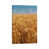 Wrapped Canvas selected
