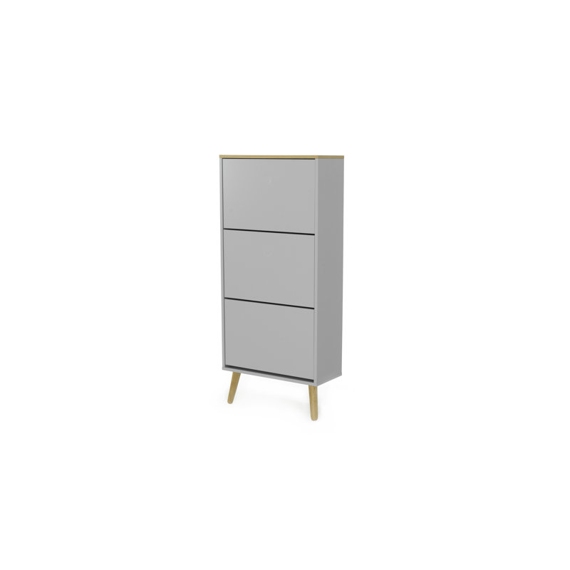 Armoire de rangement pour 18 paires de chaussures Rosman, gris