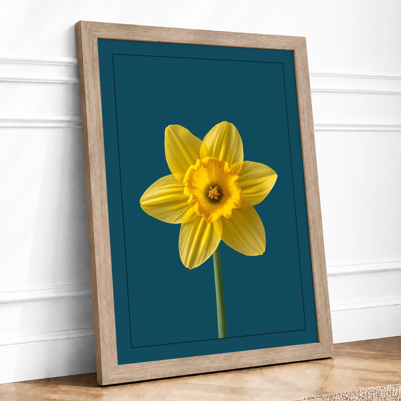 Golden Daffodil Botanical - Framed Print, Oak, A4 - 29.7 x 21.0 cm