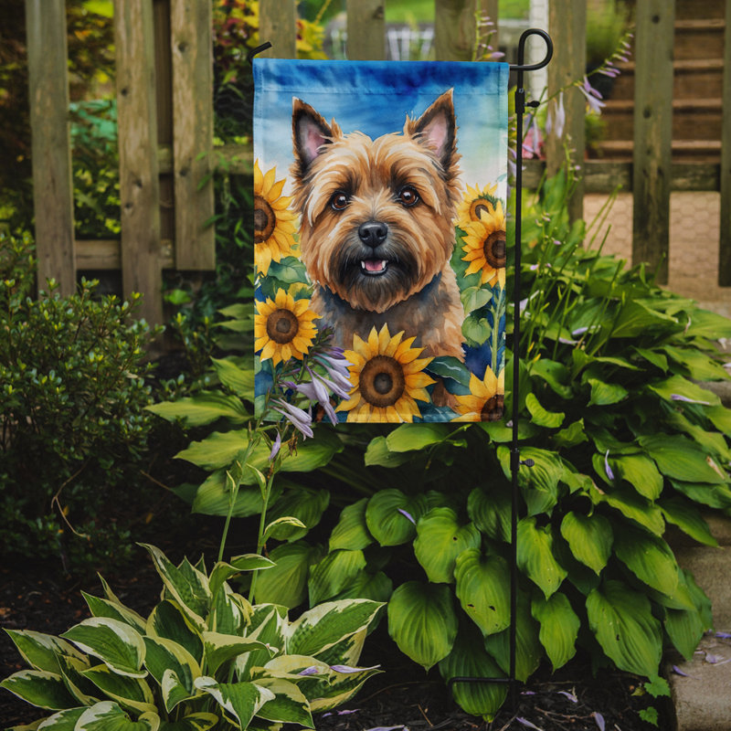 Lévrier irlandais dans le drapeau du jardin de tournesols, Cairn terrier