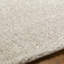 Lizan Shag Area Rug-22156367