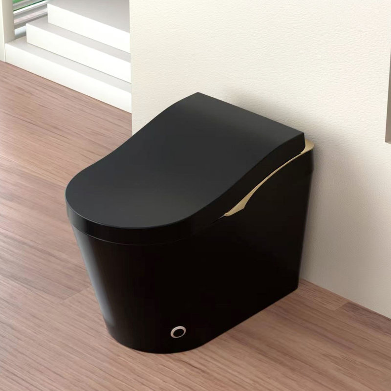 Smart Bidet Toilet With Auto Flush, Open/Close, Heated Seat, Warm Water Wash, Foam - Black, Contemporary Design, Porcelain Main Part, Comfort Height 17.5 Inches, Siphonic Jet Wash Flushing