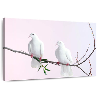 Brampt Perched White Doves