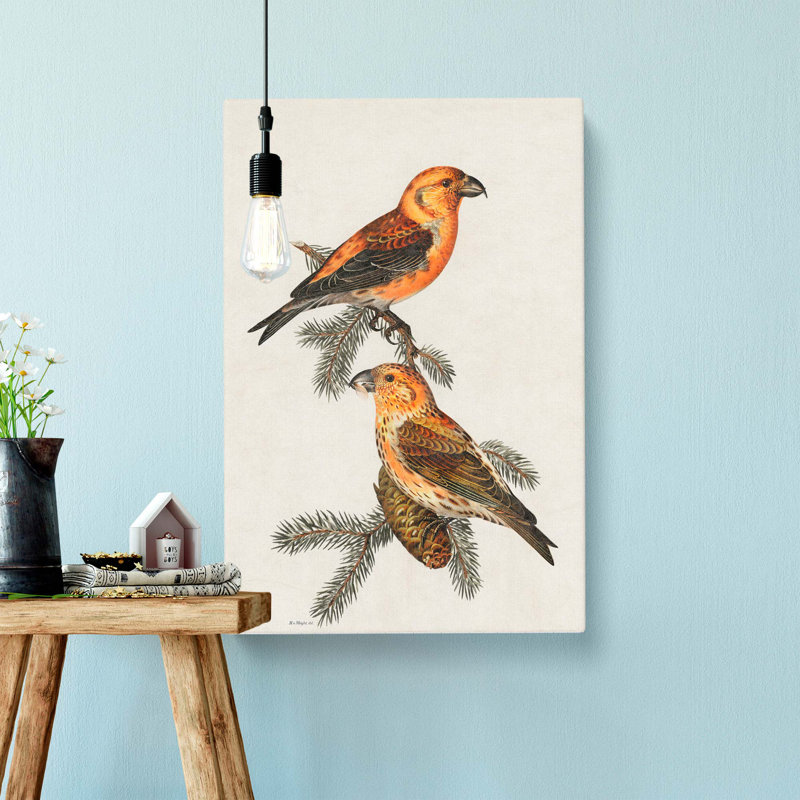 Crossbill Birds by Von Wright - Wrapped Canvas, 50cm H x 35cm W x 3cm D