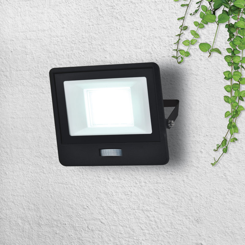 Amie-Leigh Flood Light