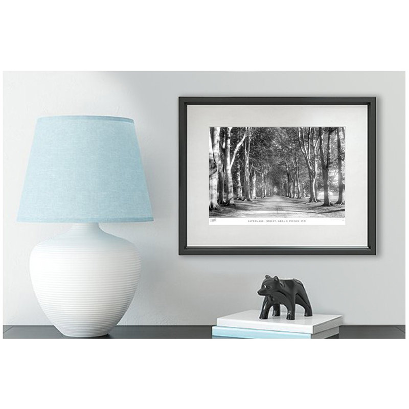 Savernake, Forest, Grand Avenue 1901 - Single Picture Frame Print, 60cm H x 80cm W x 2.3cm D