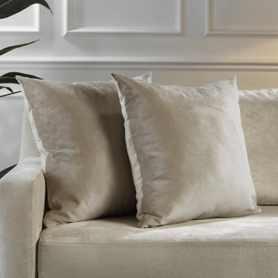 Matte Velvet Pillow Cover
