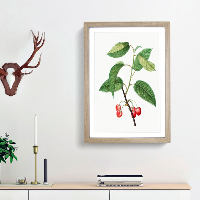 Cherry Tree by Pierre-Joseph Redoute - Picture Frame Painting Print, Oak Framed, 65cm H x 48cm W x 2cm D