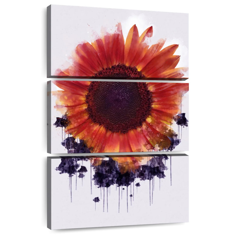 Tournesol rouge Harnek
