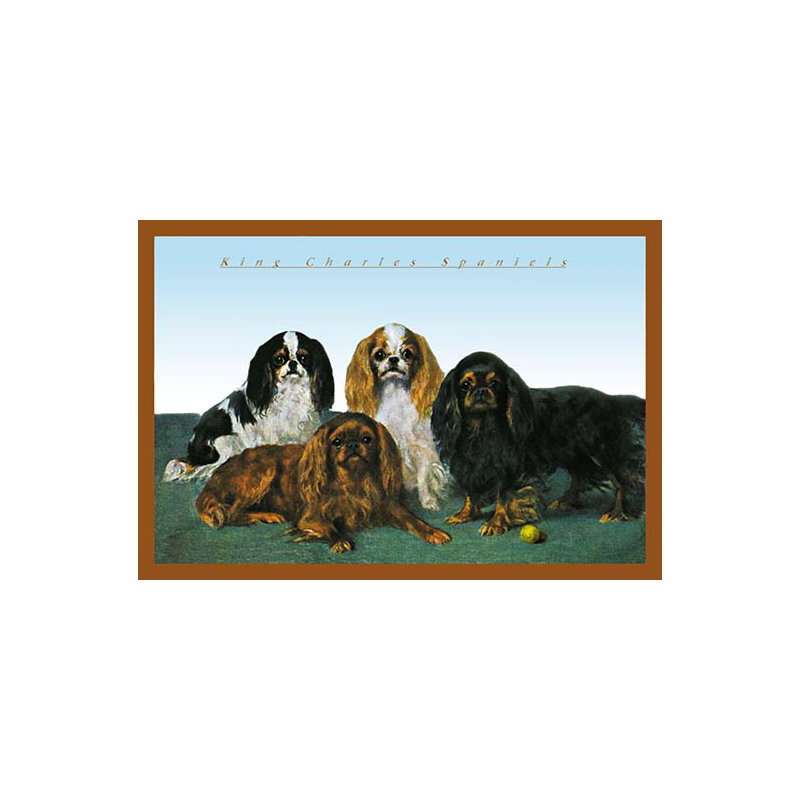 « king charles spaniels », impression