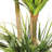 72'' Faux Dracaena Tree in Ceramic Pot