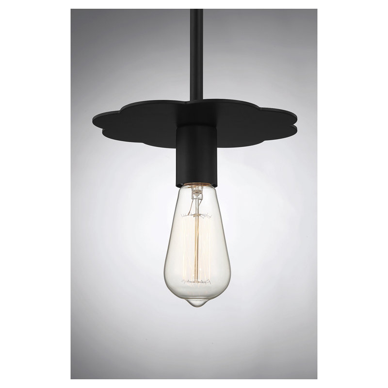 Luminaire suspendu à 1 lumière Thane, Noir mat