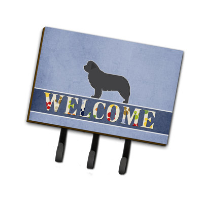 Wall Organizer with Key Hooks