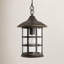 Lanterne suspendue d'extérieur 1 lumière H 14 po Freeport-945912959