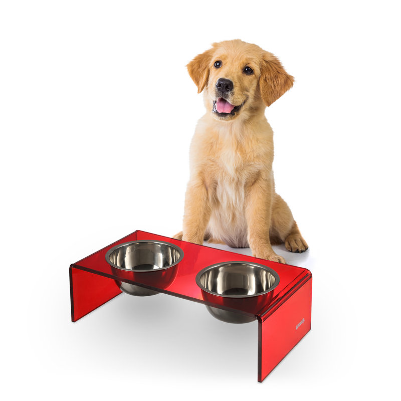 Mangeoire pour animaux Keaton, Petit (2,54 tasses / 20 oz liquides), Rouge / chrome