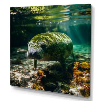 «Serene Sea Giant Portrait Of A Manatee» - Art mural lamantin