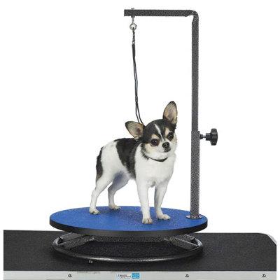 Metal Tabletop Grooming Table