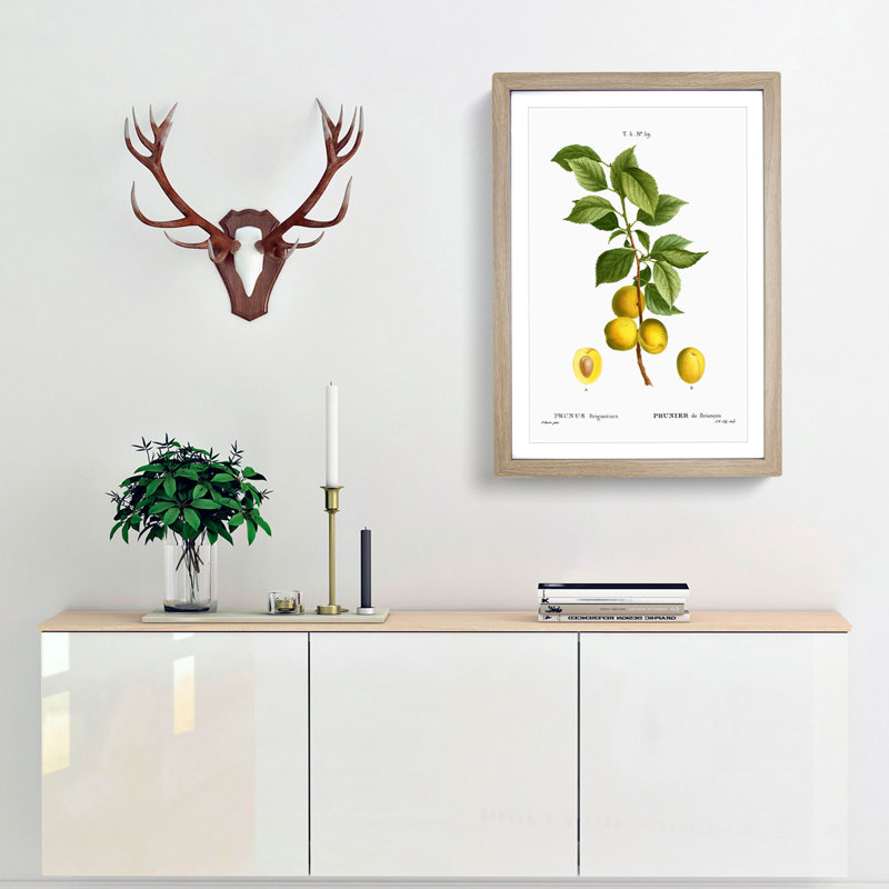 Apricot Tree Branch by Pierre-Joseph Redoute - Single Picture Frame Painting, 45cm H x 33cm W x 2cm D, Oak Framed