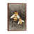 Classic Brown Wood Framed