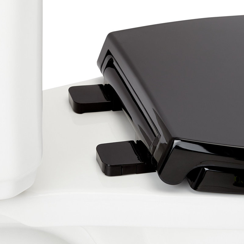 Benbrook 1.28 GPF Two Piece Elongated Toilet, Black/Chrome