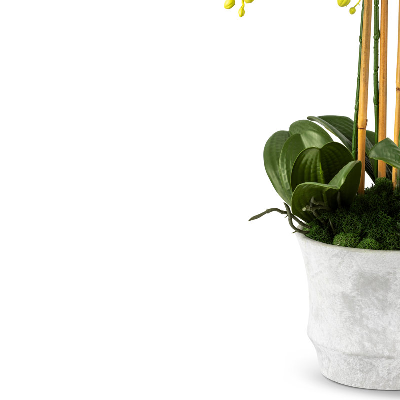 Celeste Realtouch Orchid Arrangement