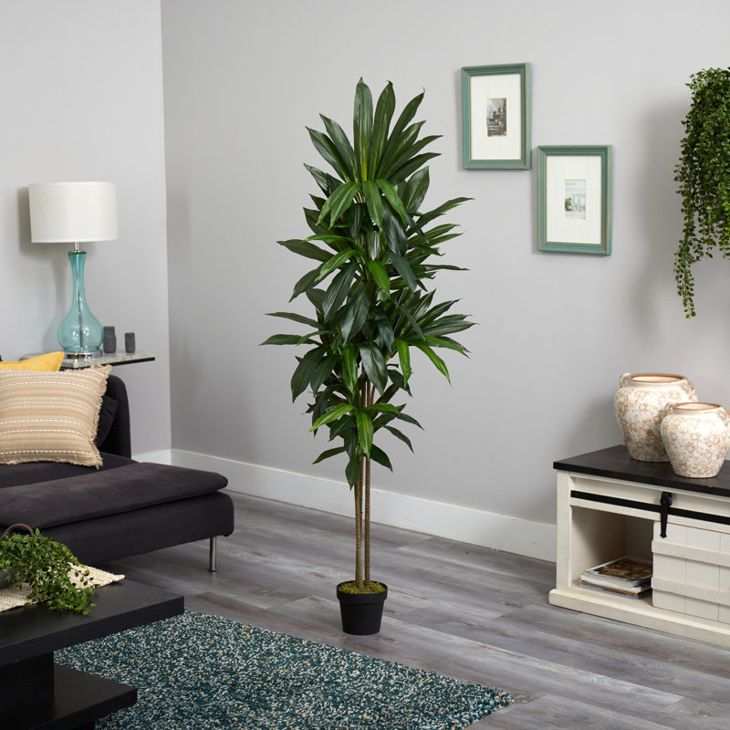 72'' Faux Dracaena Tree in Planter