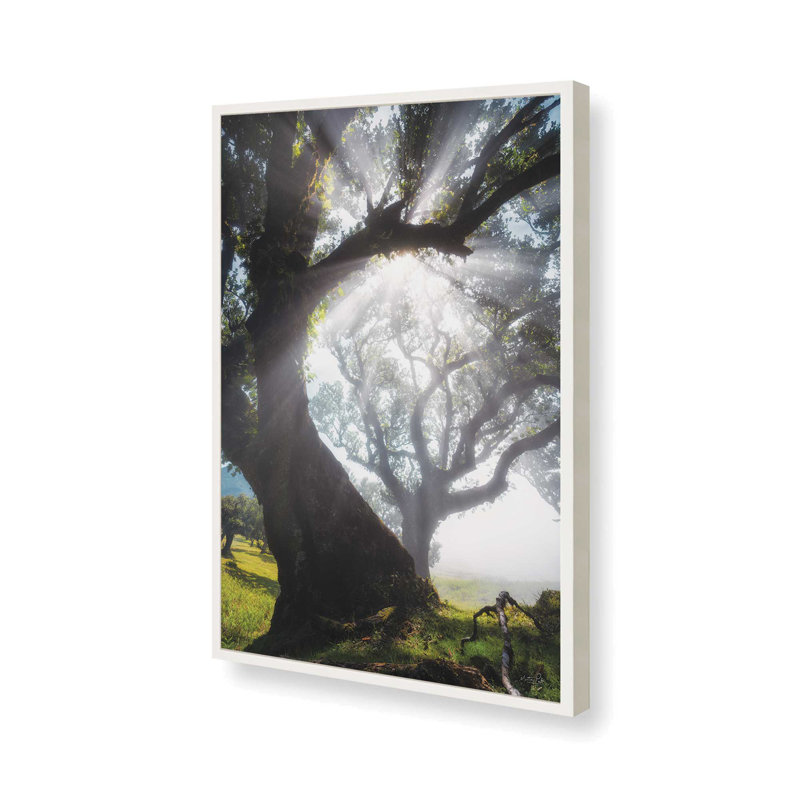 Reproduction d'art "Bend Rays" par Martin Podt, 20 W x 30 H, White, Framed Print