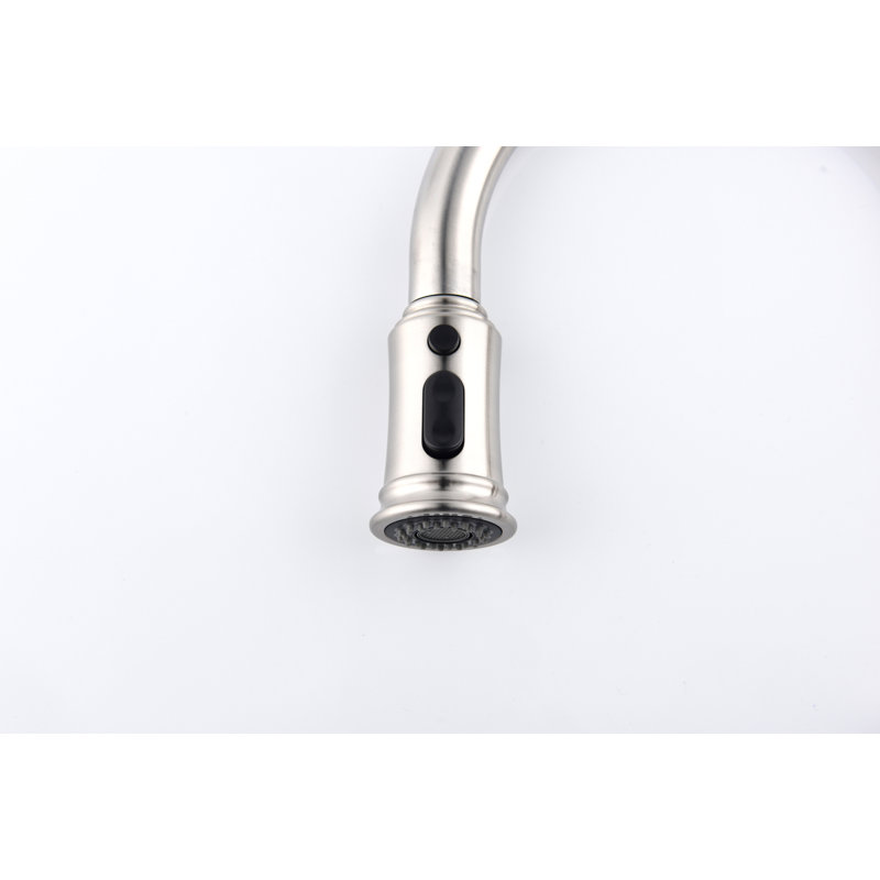 Kitchen Faucet With Pull Down Sprayer