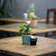 Grespresso Stoneware Espresso Cup