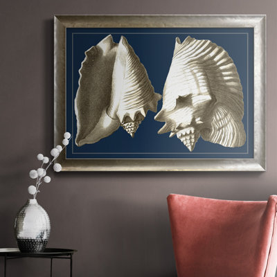 " Conch Shells On Navy I "