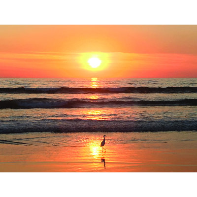 " Step Into The Sunset " by Alan Giana
