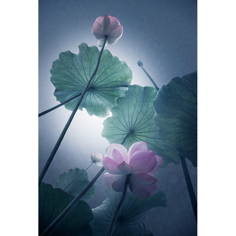Wrapped Canvas Print, 60.96 cm H x 91.44 cm W
