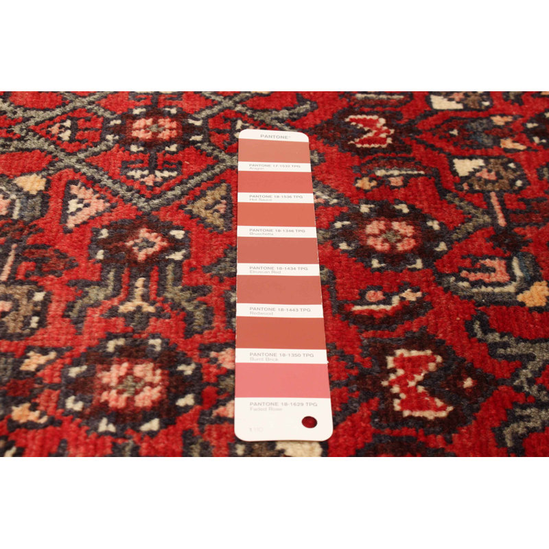 Tapis rouge Andelz 3 pi 1 po x 9 pi 4 po