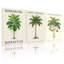Plantes et fleurs, figuier banian, acajou africain, guayana châtaignier, ensemble de 3 impressions sur toile-133564249