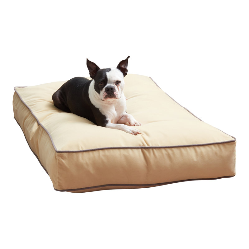 Lit pour chien Olivarez Classic, Moyen (L 42 po x l 30 po x H 6 po), Crème au beurre