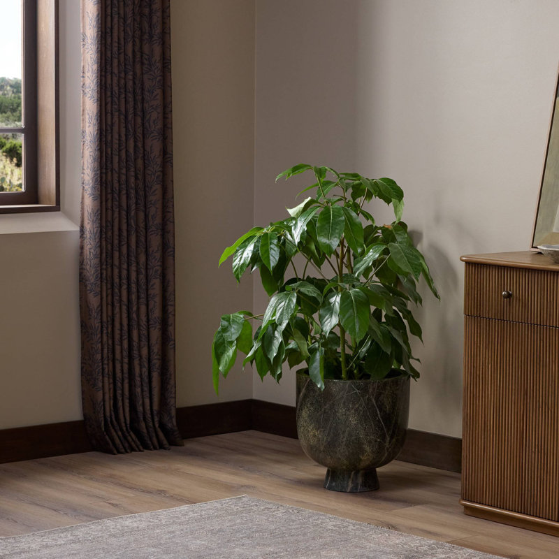 Avenza Planter