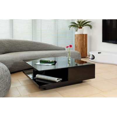 Ahrens Block Coffee Table with Storage