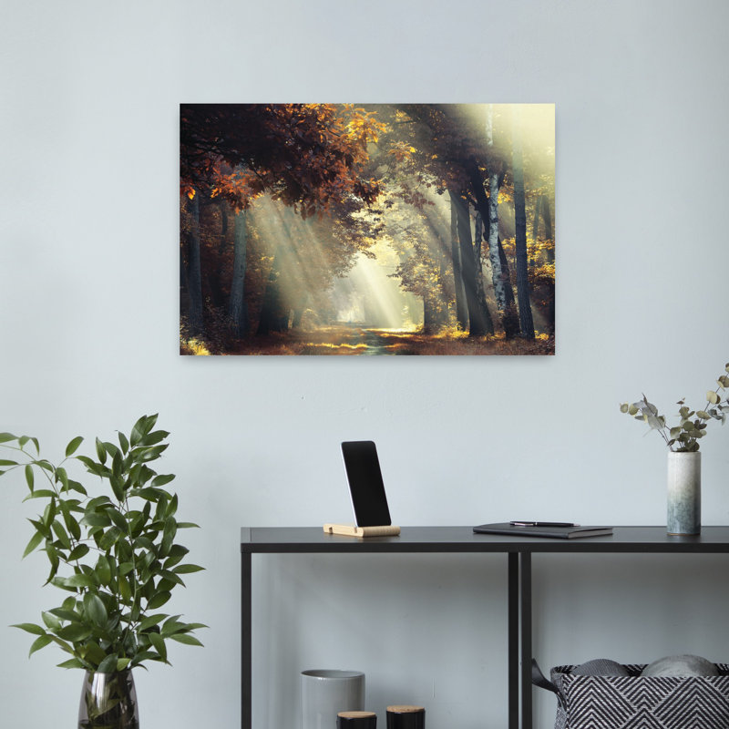Rayons de soleil, paysage contemporain abstrait, art naturel, H 16 po x l 24 po