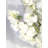 Blossoming Cherry Blossom Arrangement