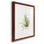 Gardenaire II - peinture encadrée-1104576837-1104576840