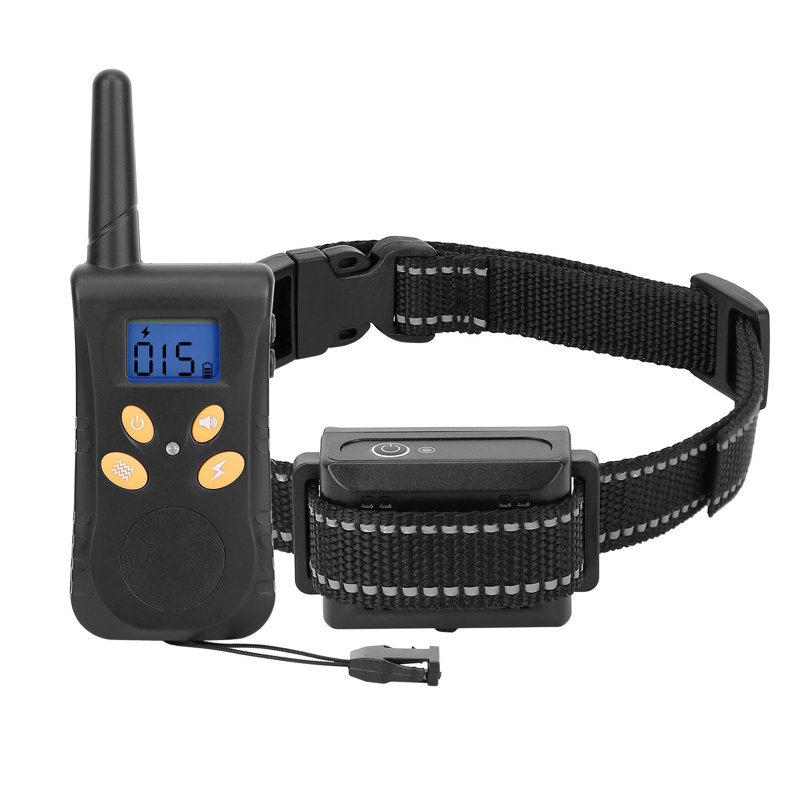Dog Training Collar