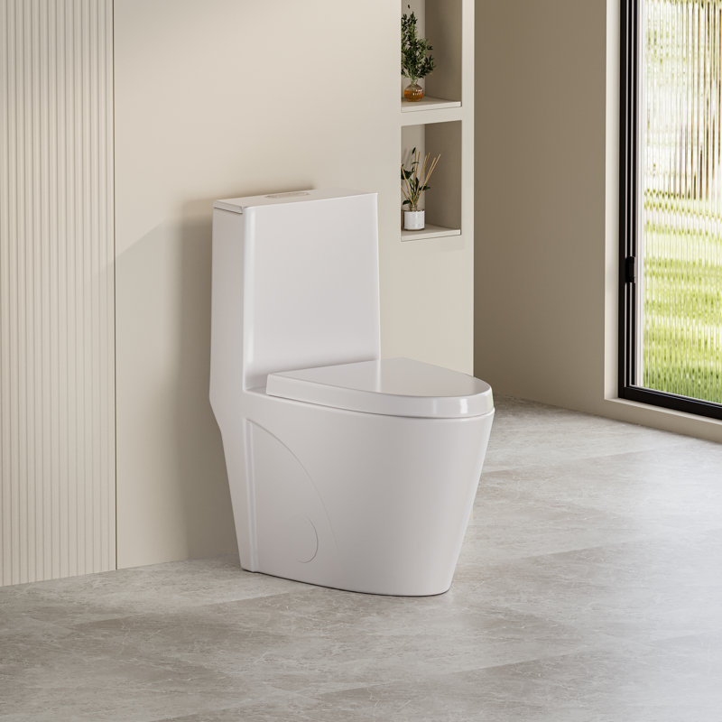 1.1/1.6 GPF Dual-Flush Elongated One-Piece Toilet with 17.13 in. Comfort Seat Height, Ceramic Glazed Surface(Soft Close Seat Included), Glossy White