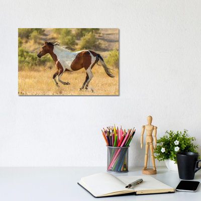 USA, Utah, Tooele County. Wild Horse Running. by Jaynes Gallery - Wrapped Canvas Gallery-Wrapped Canvas Giclée