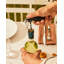 Parrot Corkscrew-1909684