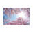 Cherry Blossom In Spring by Jan Becke - Wrapped Canvas Print-1180719939