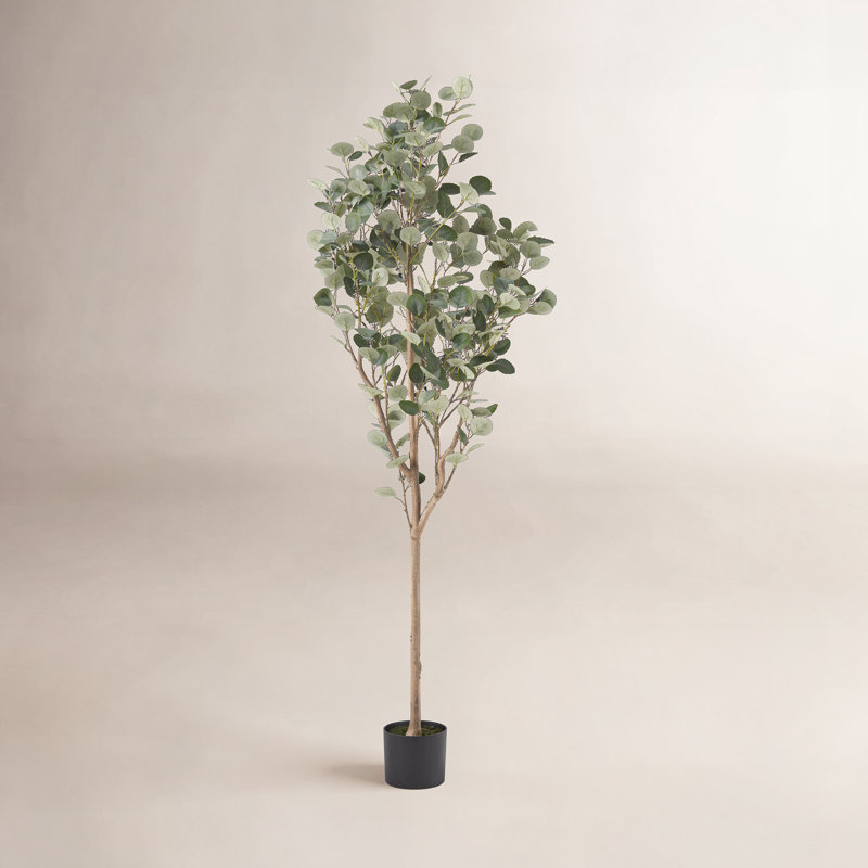 Aanya Artificial Eucalyptus Tree in Pot, 71" H x 31" W x 27" D