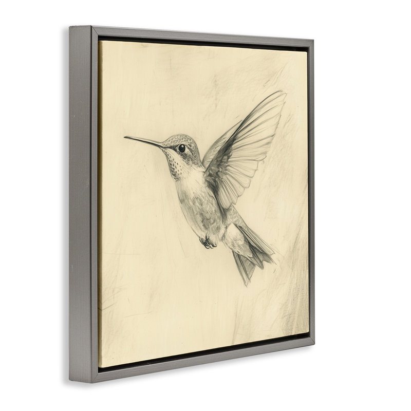 Cadre flottant rétro avec croquis de colibri, design par Petal Prints Design, H 18 po x l 18 po, Cadre flottant gris lustré