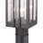 Blithe Seeded Lantern Head