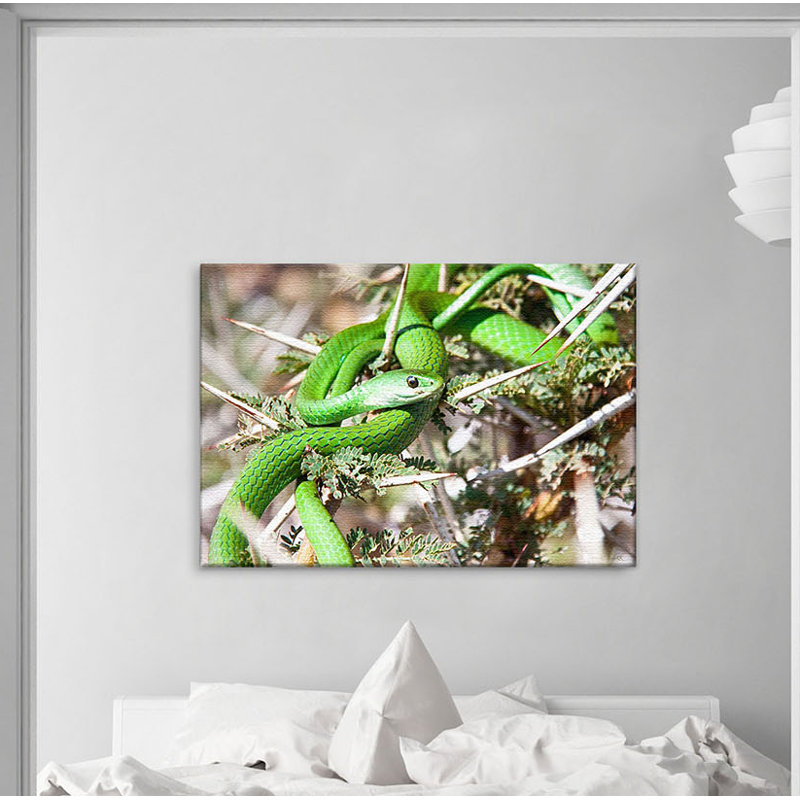 Print on Canvas, 100cm H x 150cm W